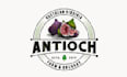 design memorable professional logo for a fig orchard