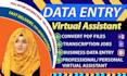 do accurate data entry, file conversion job