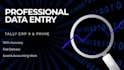 do professional data entry, ms excel and tally erp 9 work