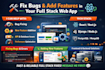 fix bugs and add features in full stack web apps