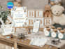 create a aviator baby shower video invite and printables