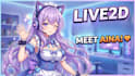 custom 2d live2d vtuber model design with rigging for streaming and animation