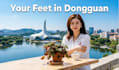 help you relocate and settle in dongguan with expert local support