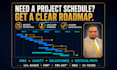create a professional project plan and gantt chart