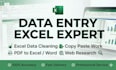 do accurate data entry, excel data cleaning, copy paste and web research