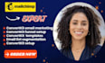 setup mailerlite automation mailerlite segmentation mailerlite email campaigns