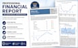 create a professional financial analysis report for any stock