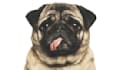 create custom ai art logo and graphics
