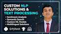 build custom nlp models and text processing pipelines
