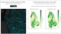 do gis maps and spatial analysis