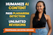humanize ai generated content to pass plagiarism detection