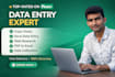 virtual assistant data entry, web scraping and copy paste