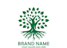 design unique pine tree logo