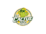 create professional and specially cactus logo design