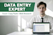 do fast accurate excel data entry and PDF to spreadsheet