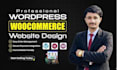 a professional wordpress website, blog, or business site