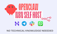 install and setup openclaw or moltbot your personal ai agent