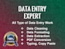 do fast and accurate data entry in excel