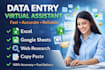do professional and efficient data entry, excel and web research