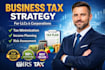 create a US tax strategy for your llc or small business