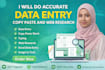 do accurate data entry ,copypaste  and web research