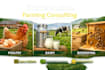 provide professional guide on poultry, dairy, and beekeeping