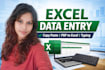 accurate excel data entry, copy paste, and typing work