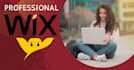 fix wix bug issues wix membership wix design and redesign