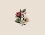 create a professional botanical logo design