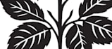 draw dark tattoo design