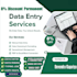 professional data entry and excel data cleaning with full