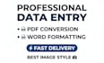 do data entry and PDF conversion