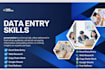 professional data entry, web research and excel data entry