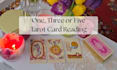 read your tarot cards, and answer your questions