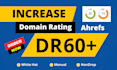 increase domain rating ahrefs DR 60 plus