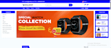 develop a custom ecommerce website using PHP laravel and mysql