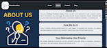 build responsive and interactive websites