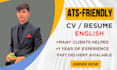 provide professional resume, CV writing service