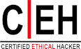 audit and secure your website against hackers