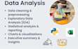 do data analysis and visualization using python and excel