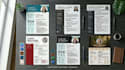 design a professional visual resume and CV