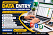 do data entry, copy paste, typing and excel data entry