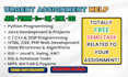 do urgent assignment in c cpp java python game coding programming tasks project
