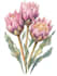 draw botanical illustrations of flowers