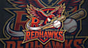 design a bold baseball team logo