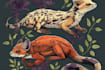 draw detail animal illustration