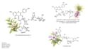 draw organic and natural compound structures for research in chemdraw