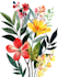 draw botanical illustration flower, plant design