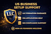 assist with US llc formation, ein application, boi filing guidance