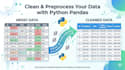clean and preprocess your dataset using python pandas